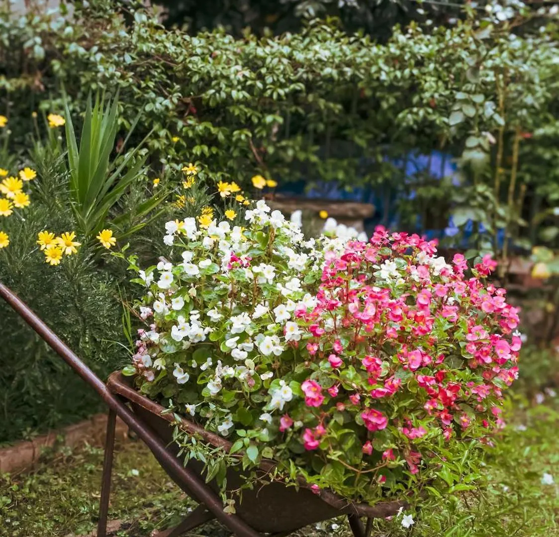 Vakantiehuis La Serra Sognante, Casa Vacanze Con Giardino Privato Tra Firenze E Fiesole