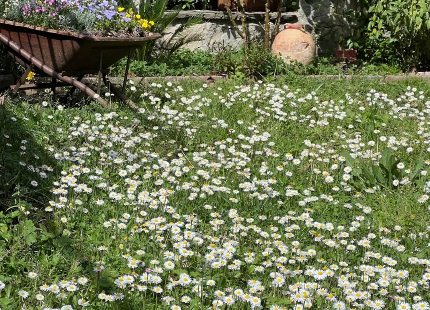 La Serra Sognante, Casa Vacanze Con Giardino Privato Tra Firenze E Fiesole Ferienhaus Florenz